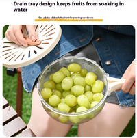 Escurridor Plegable para Frutas y Verduras
